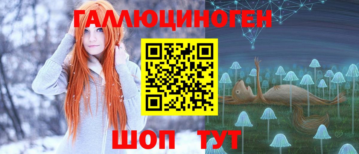 где можно купить наркотик  Галлюциногенные грибы GOLDEN TEACHER  Галлюциногенные грибы ЛСД  Вход с VPN  Улан-Удэ 